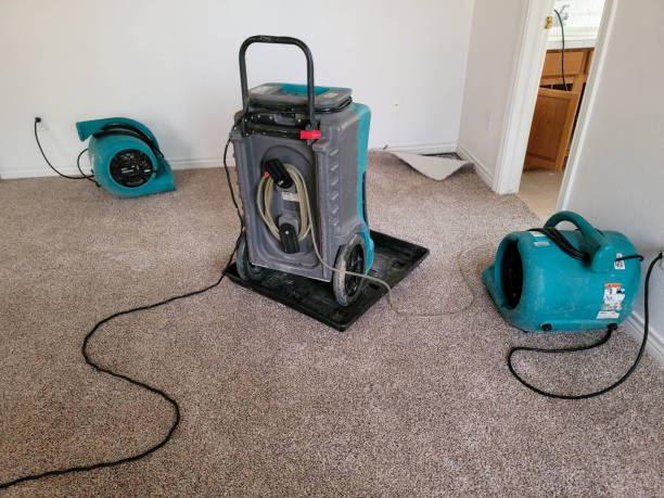 Best 24/7 water damage repair  in Buena Vista, VA