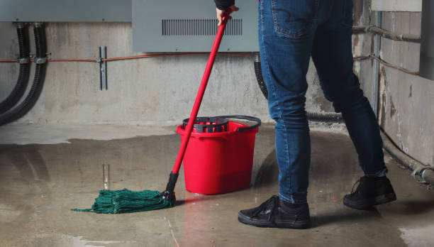 Best Water damage restoration near me  in Buena Vista, VA